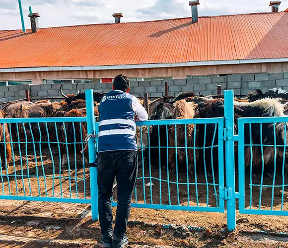Paylaşmanın Bereketi: Çocukların Gıda Ve Temel İaşe İhtiyaçlarını Karşıladık!
