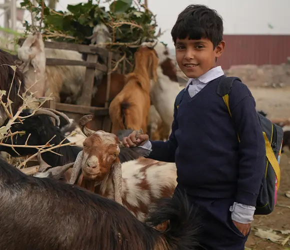 2025 Vacip Kurban Organizasyonu Pakistan’da Gerçekleştirildi!